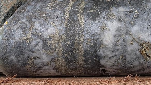 Diamond drill core from 59 metres depth at Aguia Resources’ Santa Barbara gold deposit in Colombia intersected 0.45m grading 15.0g/t gold including a 0.15m section running at 44.20g/t gold and 74.2 g/t silver. 