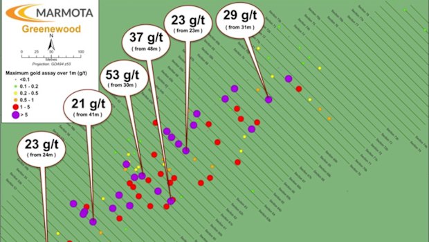 A birds-eye view of Marmota Limited’s peak downhole gold grades from 1m intervals at its latest Greenewood deposit in South Australia’s Gawler Craton.