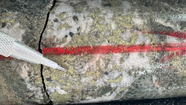 Core from Strickland Metals’ second hole showing skarn-hosted mineralisation with chalcopyrite and pyrite from 456.5 metres, which assayed 3.5g/t gold, 0.5 per cent copper and 3.3g/t silver.