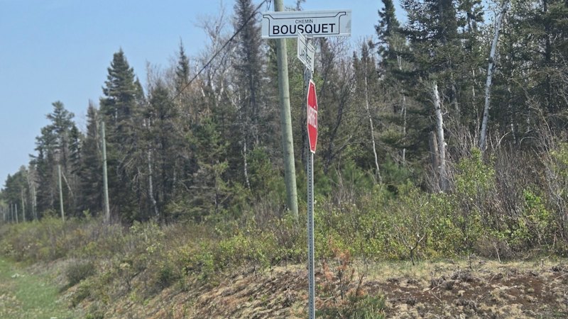 Olympio turns up the heat on new gold targets in Quebec