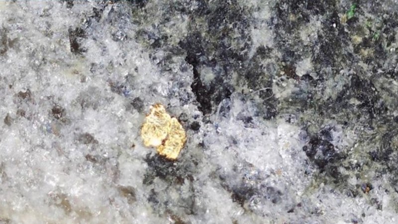 Aureka jags more visible gold with bonanza grades in Victoria