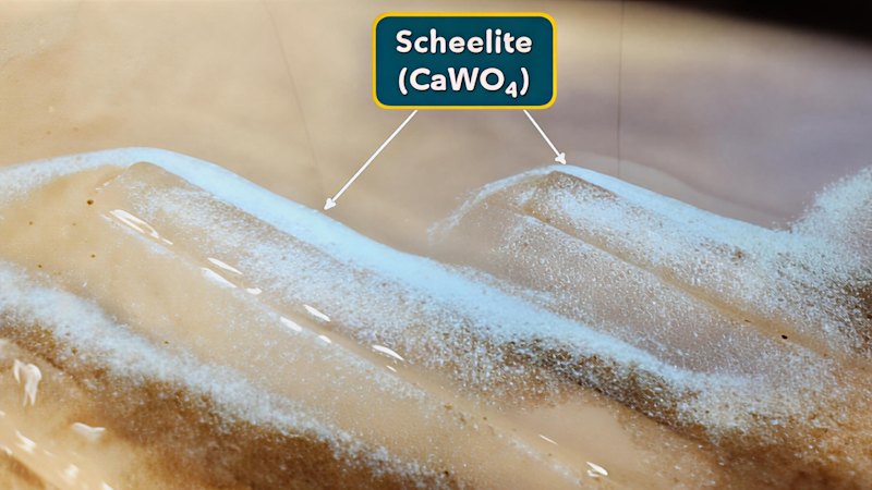 Viking fast-tracks Nevada tungsten plan ahead of June drilling