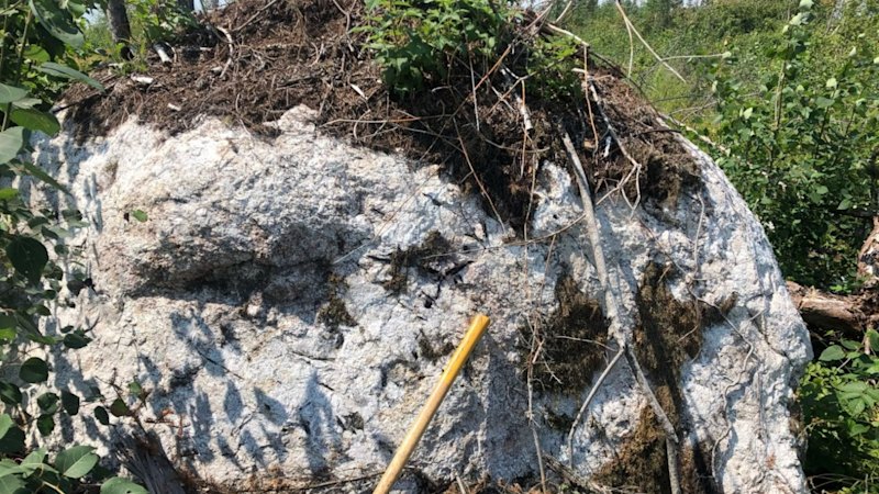Geochem points Critical Resources towards next Canadian lithium prize