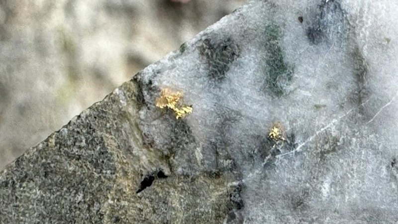 Advance strikes shallow visible gold at Victorian high-grade play