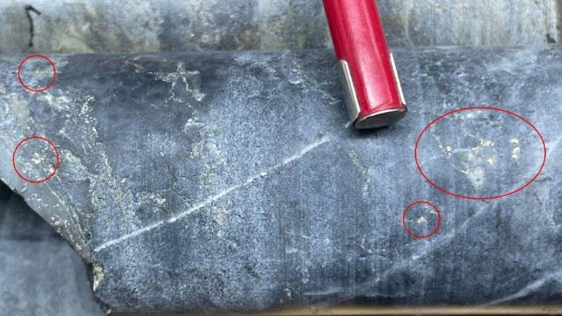 Olympio strikes high-grade gold in first two drill holes in Quebec