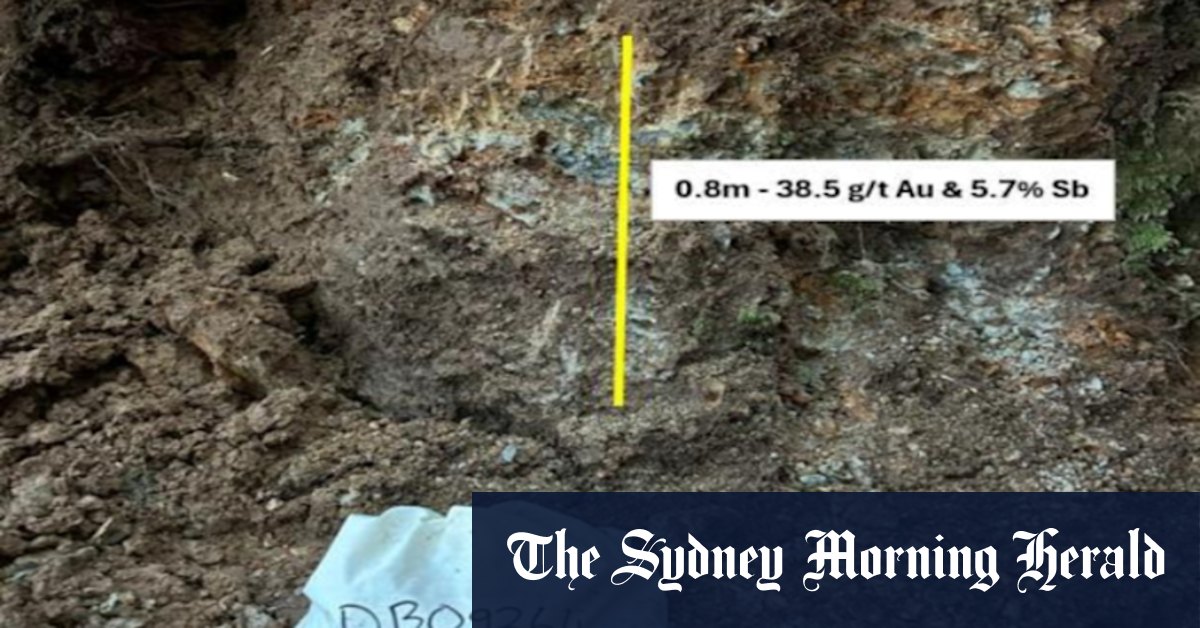 Siren soils light up new gold–antimony system in New Zealand