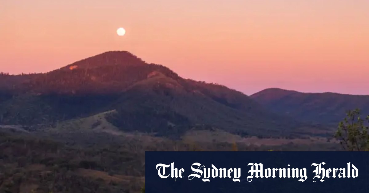 Zenith locks in big Queensland discovery with thick gold hits