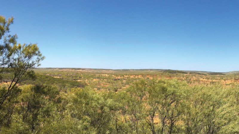Barkly cranks up 10,000m rare earths drilling in NT Gulf