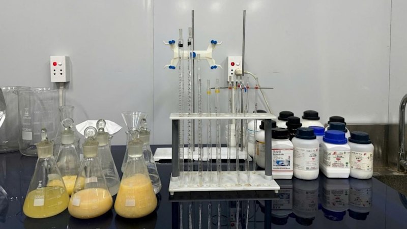 Critica Bulk Sample Tests Deliver Big WA Rare Earths Uplift