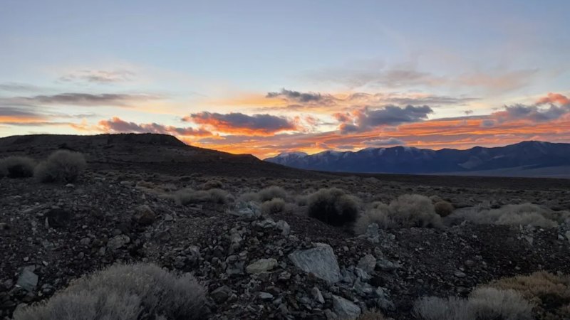 Viking revives forgotten Nevada drill data to fast-track tungsten push