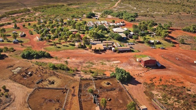 Geochem clues steer Red Metal along WA Hemi gold corridor