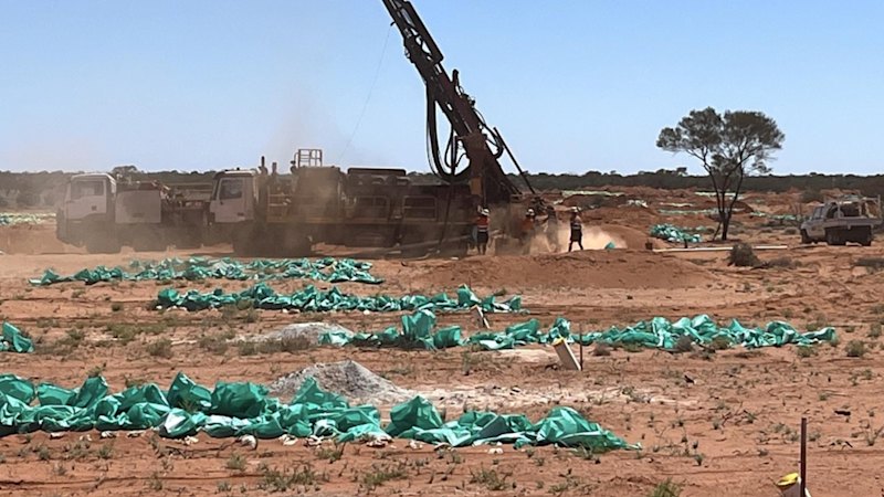 Christmas drilling blitz for Marmota at South Australian gold play