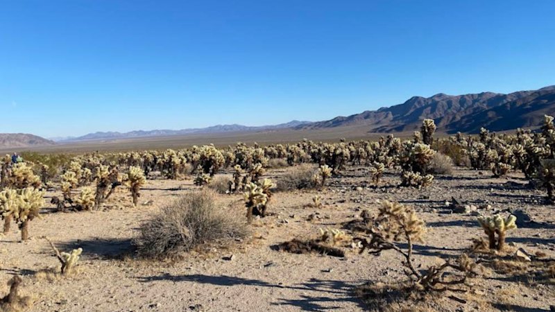 Dateline stakes claim on district-scale US rare earths play