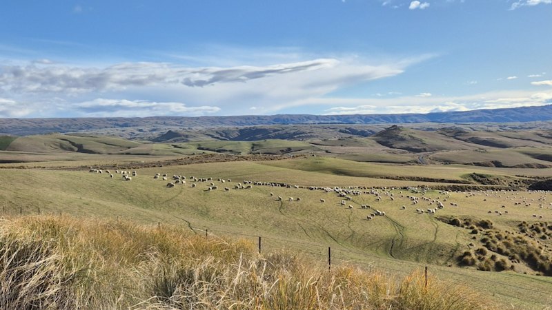 Critical Resources jags rich gold and fresh upside in NZ
