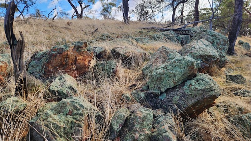 Dalaroo soil survey stretches WA copper-nickel target