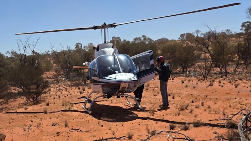 Whitebark Fires Up Hydrogen Hunt With Sensor Blitz at Giant SA Play