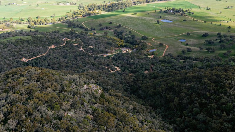 Kuniko extends NSW Silica Hill silver-gold drilling, indicating potential resource growth