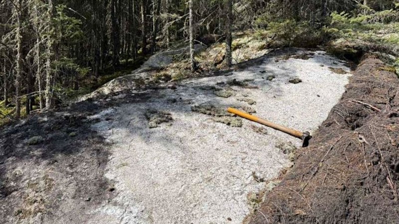 Critical hits multiple pegmatites in Canadian lith