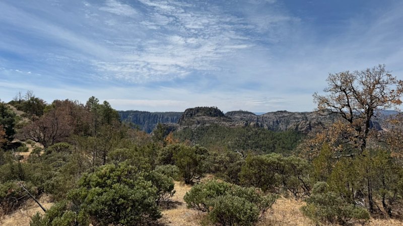 Advance clocks monster 33Moz maiden silver resource in Mexico