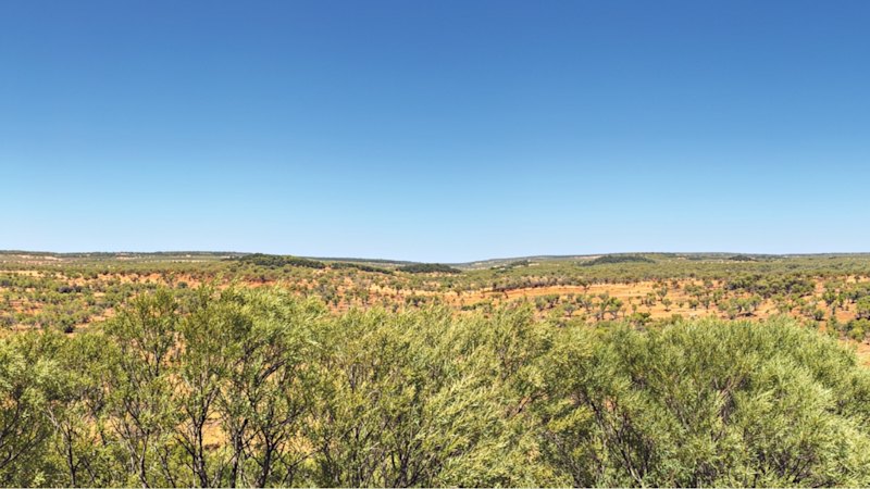 Barkly Rare Earths Secures Second NT Government Exploration Grant