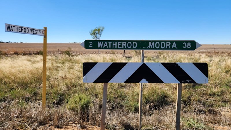 Dalaroo survey lights up deep WA copper-nickel-PGE targets