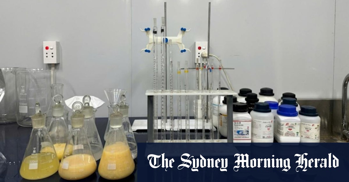 Critica bulk sample tests deliver big WA rare earths uplift