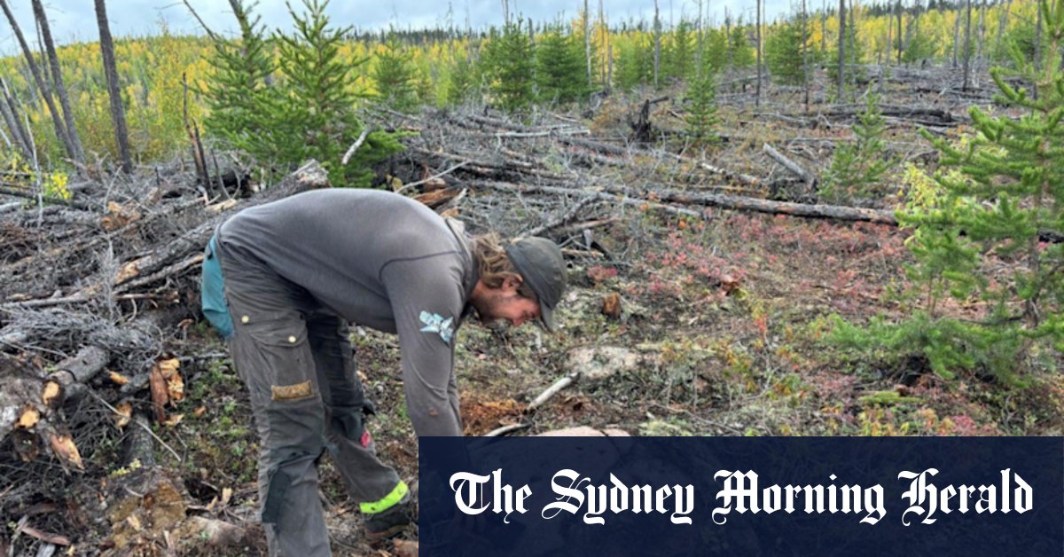 Infini sniffs out Canadian uranium in expanded field program