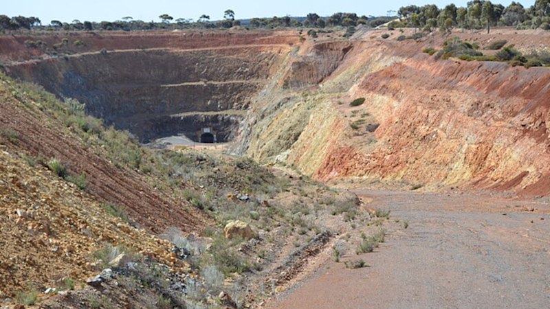 Forrestania lifts Lady Lyla grade in WA gold resource jump