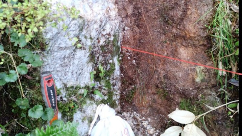Critical Resources lights up NZ tungsten target with 16.6% hit