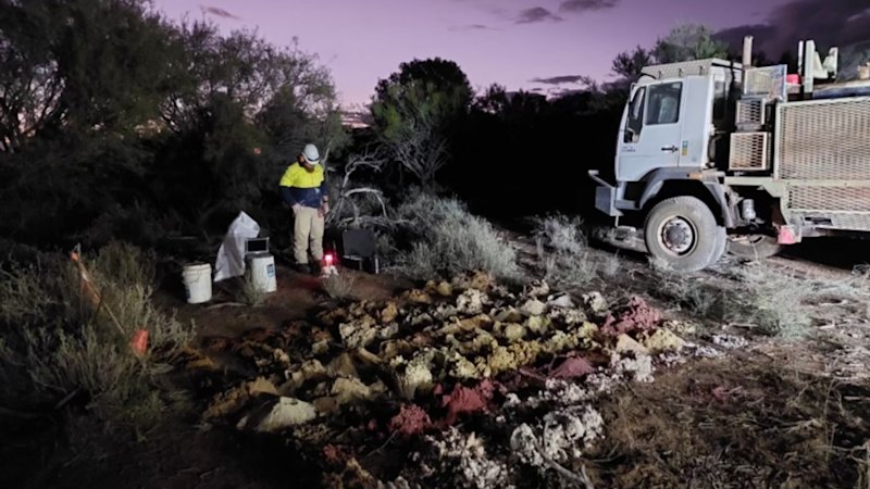 Critica launches scoping study at giant WA Jupiter rare earths play