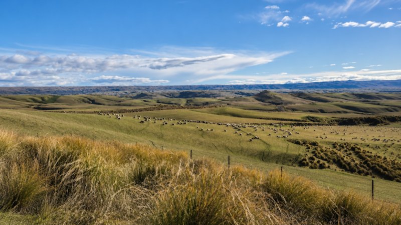 Critical zeros in on NZ gold targets