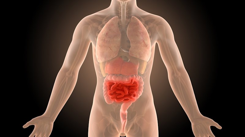 c99520438e9ee7c88ee654cb1df59527060c35d145561b53380035e1d125b955