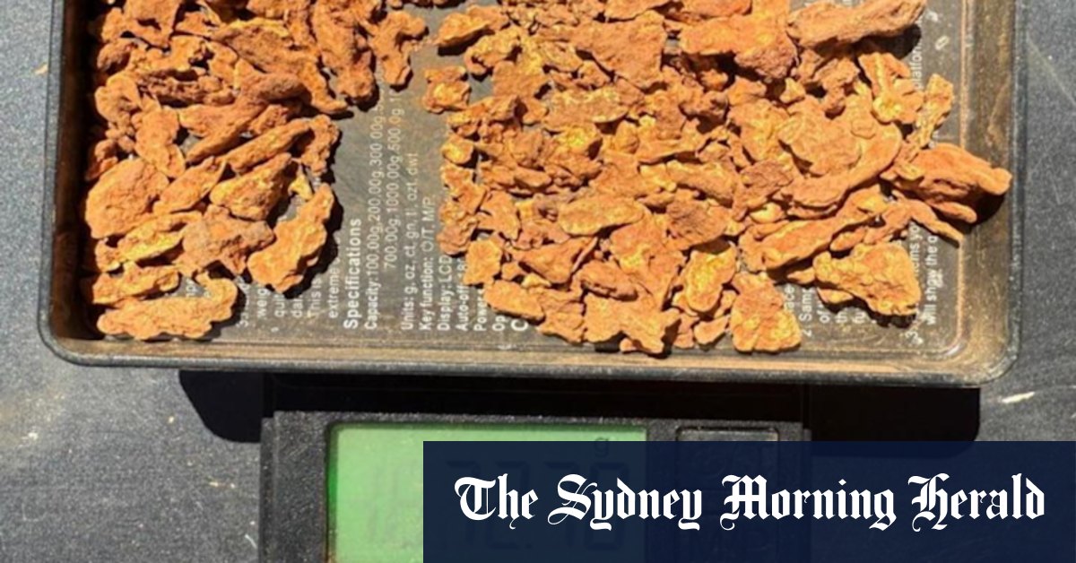 Golden streak grows as Gateway bags 328 new nuggets in WA