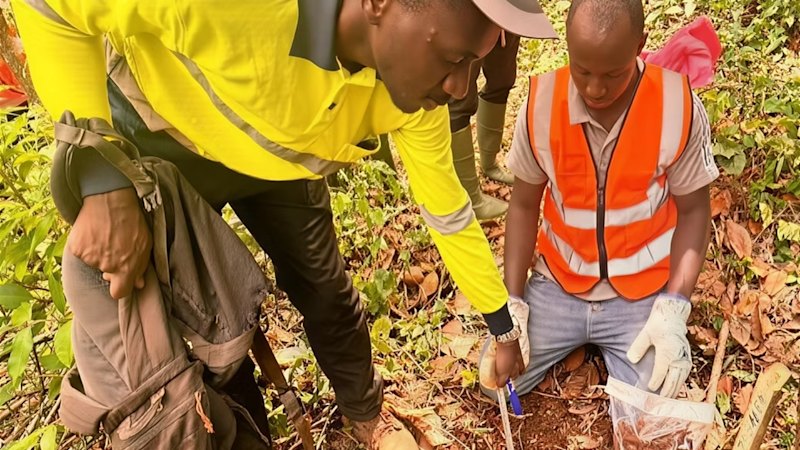 Dalaroo hits high-grade gold in soils along 7km in West Africa