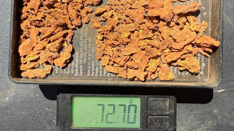 Golden streak grows as Gateway bags 328 new nuggets in WA