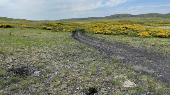 A springtime view of Sarytogan Graphite’s proposed plant site in central Kazakhstan.