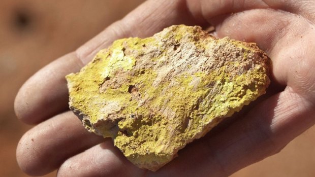 Marmota set to ride uranium wave