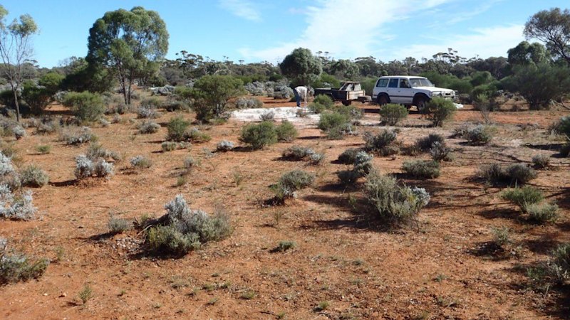 Lincoln Minerals gets to work on 7km uranium anomaly in SA