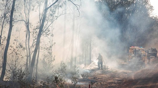 The Pechey bushfire, north-east of Toowoomba, where there are fears at least five homes have been lost, pending damage assessments.
