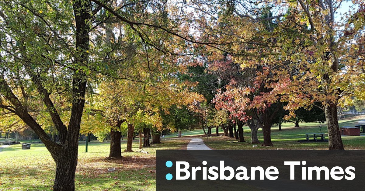 Kalamunda council repeals tree protection policy - Vimarsana News