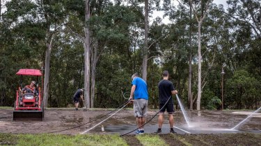 Allagamento e successiva pulizia intorno allo stadio Ballymore nel sobborgo di Hurston a Brisbane.