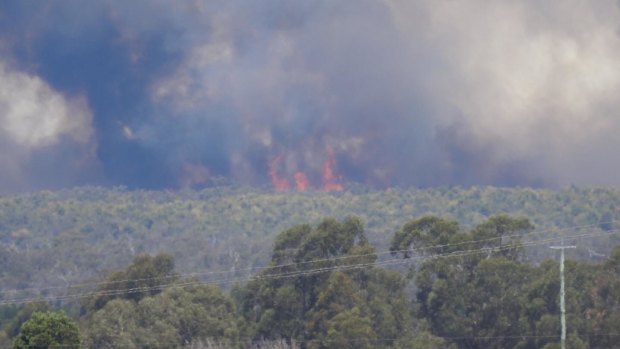 An emergency warning has been issued for those in the Stradbroke West, Willung and Willung South areas. 