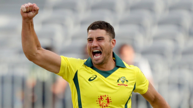 Marcus Stoinis is a regular in the shorter formats for Australia.