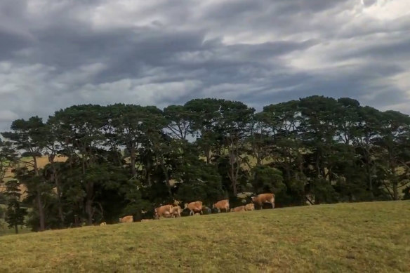 A screengrab from a video posted on Twitter by Mirboo North farmer Bruce Manintveld two hours before the storm that tragically killed him.