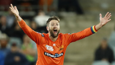 Andrew Tye thinks he has Usman Khawaja caught behind.
