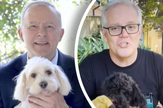 Opposition Leader Anthony Albanese with his dog Toto and Prime Minister Scott Morrison with Buddy. 