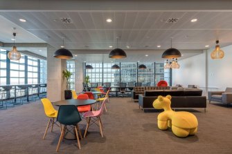 Victory Offices' Barangaroo hub in Sydney.
