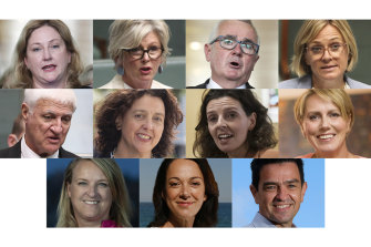 Top, from left: Rebekha Sharkie, Helen Haines, Andrew Wilkie, Zali Steggall. Middle, from left: Bob Katter, Monique Ryan, Allegra Spender, Zoe Daniel. Bottom, from left: Kylea Tink, Sophie Scamps, Rob Priestly.