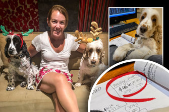 Melissa Caddick and her dogs, and (inset) Melissa Caddick’s dog Peter Pan seated at the fraudster’s desk in front of paperwork saying she was making a $46,000 per day profit.