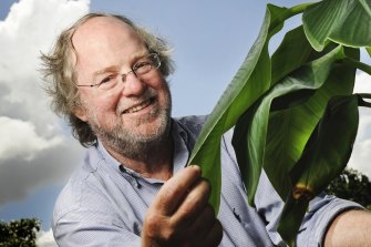QUT’s Professor James Dale developed a genetically modified banana with high levels of vitamin A. Vitamin A deficiency kills more than half a million children in developing countries every year.